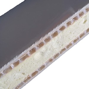 Panneaux composites en nid d'abeille à surface lisse enduits <span class=keywords><strong>de</strong></span> gel, <span class=keywords><strong>prix</strong></span> bas, panneaux en <span class=keywords><strong>fibre</strong></span> <span class=keywords><strong>de</strong></span> <span class=keywords><strong>verre</strong></span> à vendre - Product Image 5