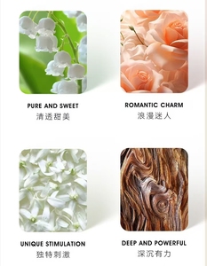 Hot Bán Nước Hoa Người Đàn Ông Của Nước Hoa Tự Nhiên Lâu Dài Cơ Thể Nước Hoa Người Đàn Ông Của Nước Hoa Nước Hoa Cô Gái Và Người Đàn Ông Sang Trọng - Product Image 5