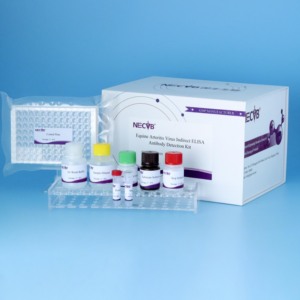 Ngựa viêm động mạch virus kháng thể Elisa Kit | eav gián tiếp kiểm tra | 96t thú y Kit chẩn đoán - Product Image 2