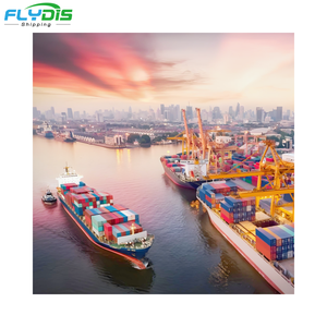 Spedizioniere Economico Ali Express UPS DHL Trasporto Marittimo Aereo dalla Cina a Polonia USA Sudafrica Kenya Oman Pakistan India Italia - Product Image 6