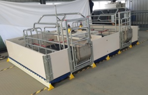 Châu Âu loại <span class=keywords><strong>farrowing</strong></span> bút thùng với nóng lợn lồng nuôi thiết bị mạ kẽm mang thai bút - Product Image 4