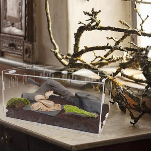 파충류를위한 맞춤형 대형 아크릴 타란툴라 인클로저 작은 동물 곤충 서식지 상자 홈 오피스 수유를위한 애완 동물 제품 - Product Image 5