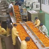 Beste prijs sinaasappel citrusconcentraat sapverwerkings productielijn fabriek machine fabrikant