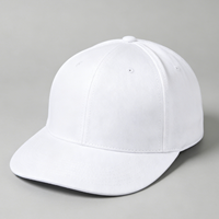 Gorra de Estilo Urbano Deportiva Vintage con Visera Plana, Cierre a Presión, Forro y Logotipo Personalizado, Gorra Lisa de Hip Hop