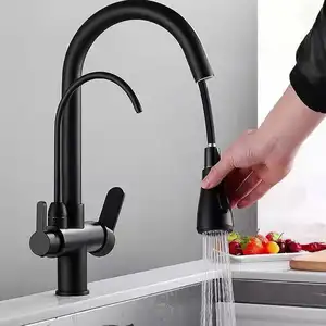 Robinet mitigeur de cuisine extensible à Double trou, noir brossé, économie d'eau, sécurité, sain, nickel usine moderne chine contemporaine