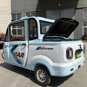चीन मोटर फैमिली रिक्शा 3 व्हील कार्गो ट्राइक इलेक्ट्रिक ट्राइसाइकिल इलेक्ट्रिक कार्गो ट्राइसाइकिल स्कूटर ले जाना
