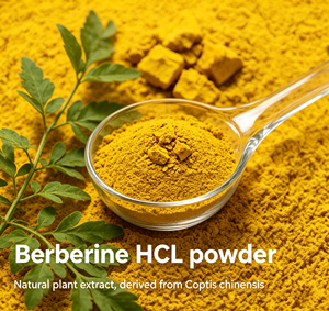 Extrait naturel de racine de Coptis, chlorhydrate de berbérine (CAS 2086-83-1), supplément alimentaire à base de plantes en vrac, qualité alimentaire, poudre de berbérine HCL 97% 98% - Product Image 4