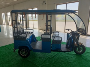 Nouveau modèle 2024 Tricycle Électrique à Carrosserie Ouverte Haute Vitesse pour 4 Passagers avec Moteur Sans Balais et Batterie au Plomb-Acide - Product Image 2