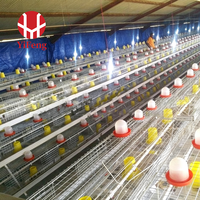 Cage d'élevage de type A, système d'élevage de poussins haute capacité, utilisé dans les projets d'élevage avicole, fabricant d'équipements d'élevage de poulets