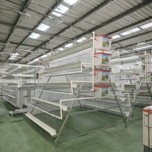 Hot Bán Pin Lồng Hai Lớp Gà Một Loại 3/4 Tầng 96/120/128/160 Chim Hai Lớp Gà Lồng Cho Gia Cầm Trang Trại Nhà Thiết Kế - Product Image 1