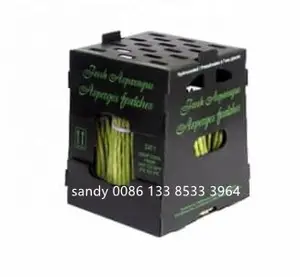 Broccoli Asparagus Corrugated Plastic Packaging Box
