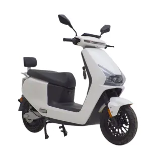 2023 w scoter 성인 도시 코코 5000w mi 전기 스쿠터 물 스쿠터 어린이를위한 사이드 카가있는 전기 사이프러스