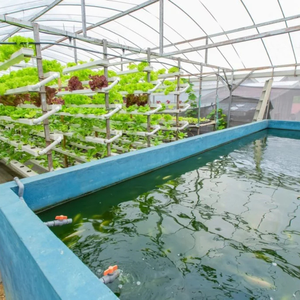 Advanced Plastic Po/PE/EVA Film Serre Hydroponique Aquaponique Cultiver Tente Serre En Verre pour L'élevage De Poissons Légumes À Feuilles - Product Image 1