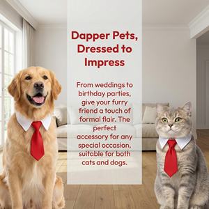 Pañuelo de Alta Calidad para Perro, Multicolor, para Fiestas de Cumpleaños, Collar para Mascotas - Product Image 1