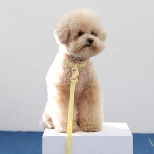 Holesale-<span class=keywords><strong>collar</strong></span> y correas de nailon para perro, conjunto de correas de piel trenzada ulticolor sin tirones - Product Image 3