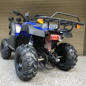 <span class=keywords><strong>Quad</strong></span> tout-terrain 4 temps 200cc pour la vente en gros, OEM/ODM, approvisionnement en gros pour concessionnaires - Product Image 5