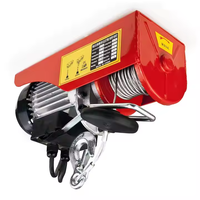 IEHC Pa Type Mini palan à corde électrique petit extérieur 100kg/200kg outils de levage palan de Construction