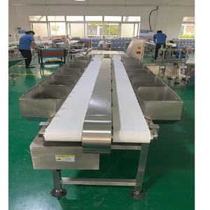 Linee di Macellazione per Pollame e Polli da Carne, Attrezzature e Macchinari per la Lavorazione e la Macellazione - Product Image 2