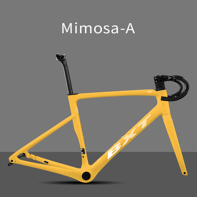 BXT Mimosa yellow-A