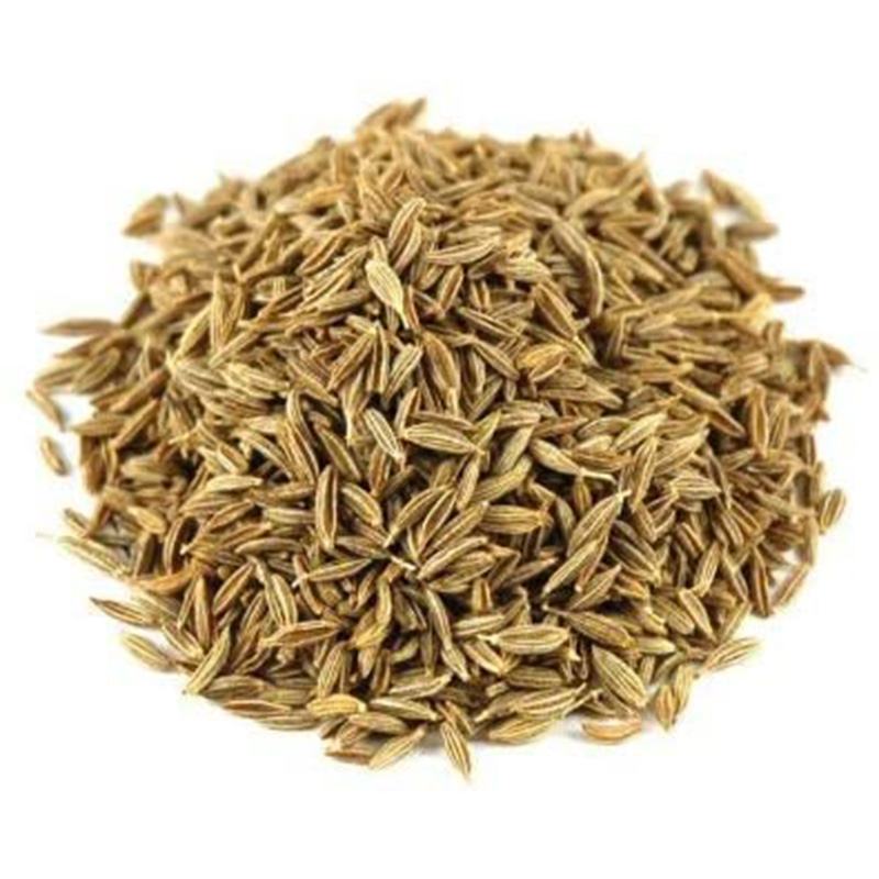 Как Выглядит Тмин Фото – Telegraph