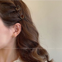Pince à cheveux petite en acétate à motif géométrique et dégradé de couleurs, pour femme, pour l'été, pour les franges latérales et le coiffage, accessoire capillaire élégant