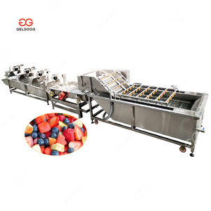 Gelgoog Mustard Washer Tiesa Équipement de nettoyage de fruits Machine à laver Longan - Product Image 2