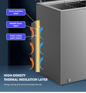 Congelador Horizontal de Una <span class=keywords><strong>Puerta</strong></span> y Una Sola Temperatura con Enfriamiento Directo de <span class=keywords><strong>1</strong></span>.05 m - Product Image 6