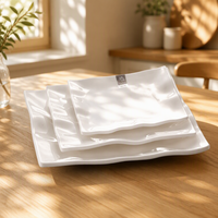 Ensemble d'assiettes à dîner blanches incassables, 8 pouces, style européen, d'extérieur, de bonne qualité