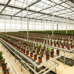 Film PE multi-rentang rumah kaca sayur-SKYPLANT Sp-M-8, diproduksi Jiangsu, pertanian taman, tahan angin - Product Image 5