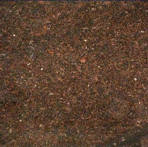 Dalles de granit brun café 2 cm polies |   Granit brun foncé indien pour sols et comptoirs |   Qualité d'exportation - Product Image 1