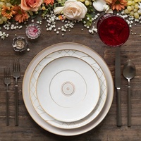 Großhandel nordische Keramik platte Bone China Porzellan Geschirr mit Goldrand