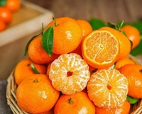 Extrait d'orange mandarine de haute qualité, essence concentrée liquide naturelle pour les boissons, les desserts et les pâtisseries
