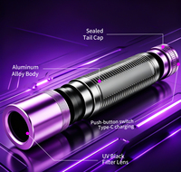 Lampe torche UV portable 365 nm en aluminium rechargeable, lumière noire UV, logo personnalisé acceptable pour l'inspection et la détection