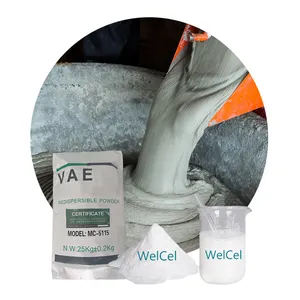 WELLDONE Ethylene-vinyl Acetate Copolymer Vae Copolymer Rdp Powder Eva Redispersible Emulsion Powder Vae Rdp Adhesive