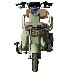 Động Cơ Xe Ba Bánh 600W Dễ Sử Dụng Hàng Đầu Và Phổ Biến Dùng Điện 48V 20Ah Cho Nam Giới - Product Image 1