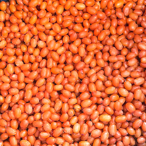 Fruits surgelés LQF en gros, 10 kg, 2-4,5 cm, Argousier surgelé - Product Image 2