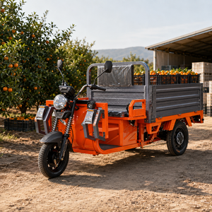 Tricycles à moteur 3 roues 1000W/1200W avec haut-parleur, moteur DC à aimant permanent fiable 1000W-1200W - Product Image 6