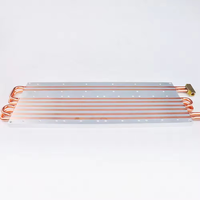 Placa de Enfriamiento Líquido de Acero Inoxidable con Doble Tubo de Calor, de Alta Potencia, para Refrigeración, Servicios de Doblado, Corte y Soldadura, Marca Bw 1