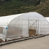 Serre Commerciale Portable à Faible Coût pour Pépinière Agricole, en Film PE, avec Système d'Irrigation et Structure en Acier Galvanisé à Chaud