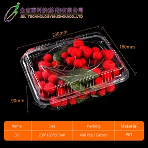 Contenitore per alimenti trasparente trasparente personalizzato PET scatola di imballaggio per frutta e verdura a conchiglia in plastica usa e getta per uva lychee cherry