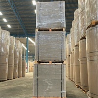 Hard Stiffness A4 Size Sheets Paperboard 700 Gsm Thick Cardboard