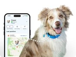 Aplicación de Cuidado de Mascotas Personalizada de Primera Calidad, Desarrollo de Aplicaciones Móviles de Cuidado de Mascotas, Mejor Aplicación de Cuidado de Mascotas, Diseño de Aplicaciones Móviles, Precio Más Bajo - Product Image 4