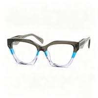 Nouvelle monture de lunettes 2026 œil de chat polygone multicolore tendance pour myopie