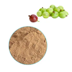 Hair Care High Quality Pure Natural Amla Extract Powder