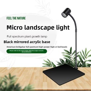 Lámpara <span class=keywords><strong>LED</strong></span> USB para <span class=keywords><strong>Acuario</strong></span> de Escritorio, Micro Vista, para Plantas Acuáticas, Plantas Verdes y Suculentas, Plástico Duradero, Ahorro de Energía - Product Image 2
