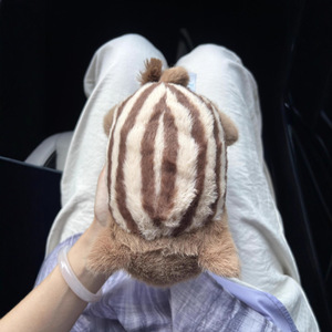 Peluche Porc Sauvage Swinley JE UK Version Haute, Ultra Douce, Rembourrée de Coton PP avec Billes Lestées, Design Adorable, Cadeau Anti-Stress - Product Image 4