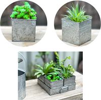 Pot Bunga Rustic Farmhouse Berlapis Emas Galvanis dengan Lubang Drainase dan Penutup untuk Tanaman Herbal, Sukulen, Pernikahan, dan Dekorasi Meja