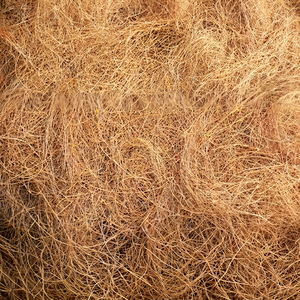 <b>Top</b> Selling 2026 Natural Coconut Fiber Raw High Quality for Agriculture Use Best Price Vietnam - Product Image 6