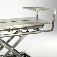 Table d'opération électrique pour animaux, table de manipulation vétérinaire en acier inoxydable pour clinique canino-felinoïde