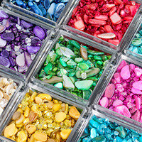 Ensemble de 9 couleurs de pierres concassées pour nail art DIY, décoration de fête, chaque nuance 5g, embellissements de manucure vibrants et élégants
